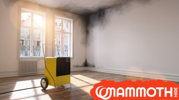 An Essential Guide to Dehumidifiers